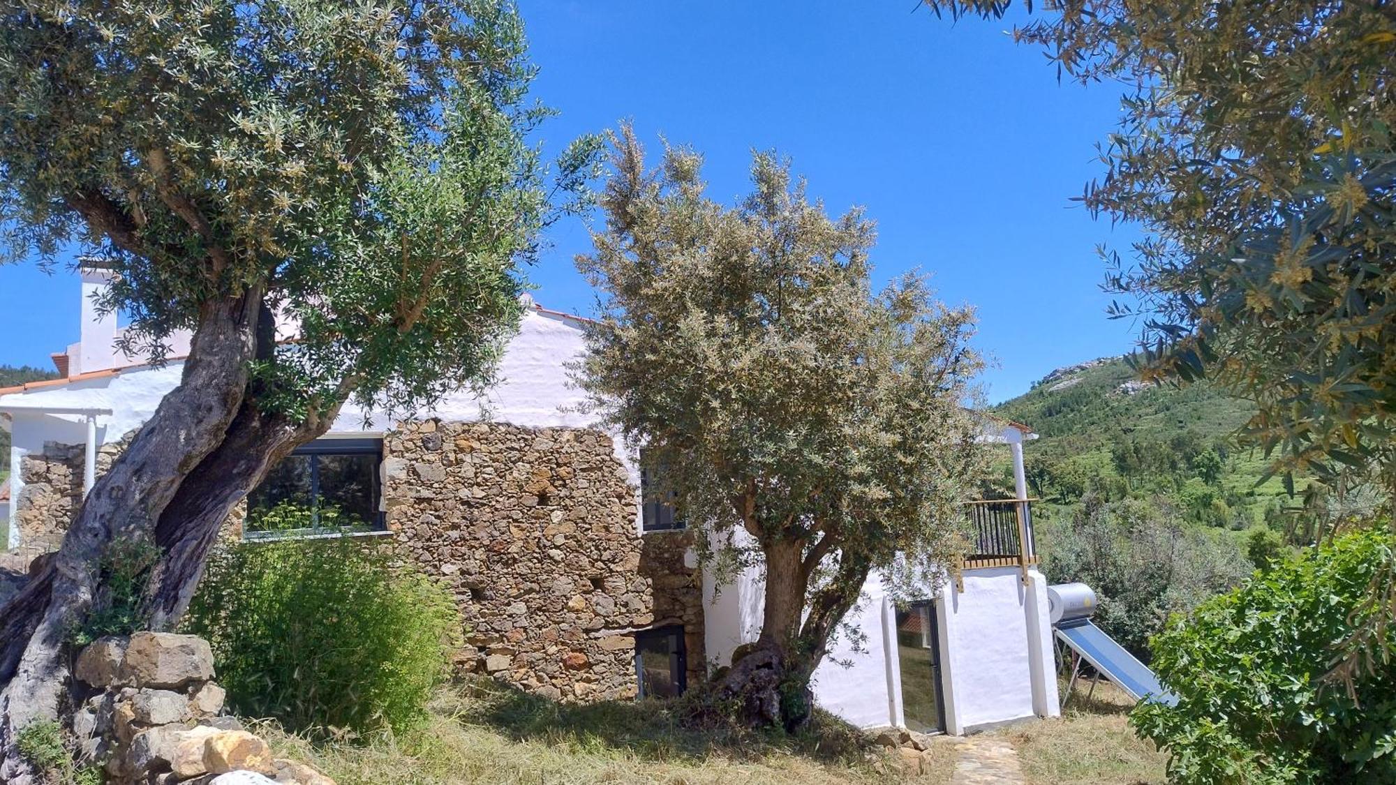 Alegria Rustica 2 Rustic Happiness Bed & Breakfast Envendos Exterior photo